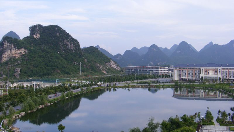 正规芯片批发报价平台：如何筛选可靠资源