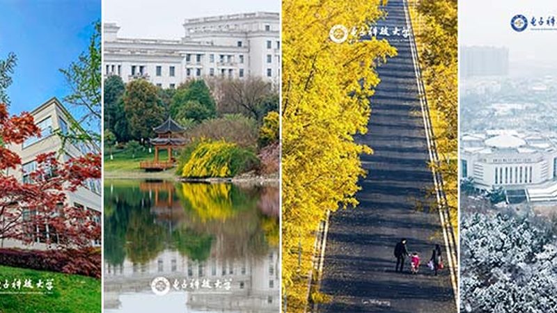 电子加工报价单编写，揭秘背后的关键要素