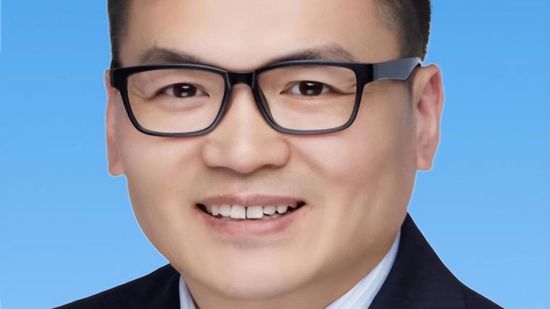 二极管厂家直销，如何选择可靠供应商？**
